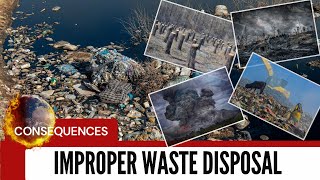 Environmental Hazard: The Consequences of Improper Waste Disposal