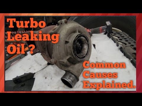 Turbo Leaking Oil ? Common Causes Explained. Watch Before Buying New One. By: Shaners Mechanic Life.