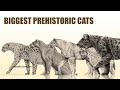 The 10 Largest Prehistoric Cats Ever Disovered (Felines)