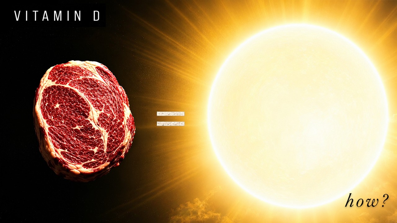 Why the Carnivore Diet Fixes a Vitamin D Deficiency