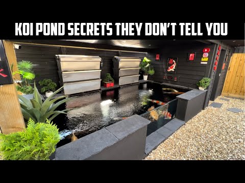THE TRUTH ABOUT KEEPING KOI***HOW TO GROW BIG KOI***THINGS YOU NEED TO NO WHEN BUILDING A POND !!