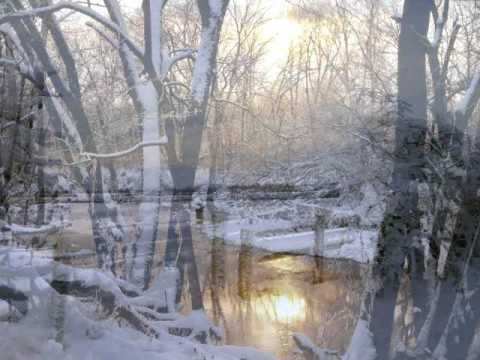 Haldo Project - Warming Ice