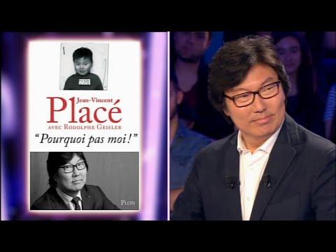 Jean-Vincent Placé - On n'est pas couché 13 juin 2015 #ONPC