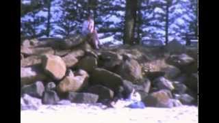 preview picture of video 'Tony's 4th of July to September 1975.m4v'