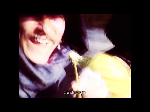 SKYJOGGERS - Newtonin Kanuuna