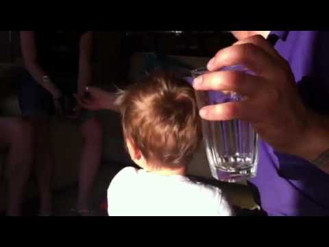 Funny - Toddler sticks finger in bum of a Doberman