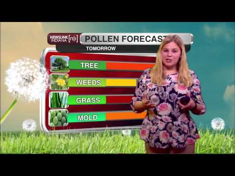 NewsLink Indiana Weather March 21, 2016 - Kalie Pluchel
