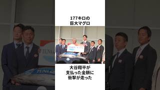 177キロ巨大マグロにいくら払った!? 大谷翔平の金額感覚が別次元だったことについての雑学　#大谷翔平 #mlb #プロ野球