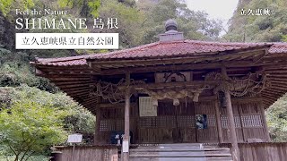 视频缩略图