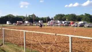 preview picture of video 'Exhibition Quarter Horse Poles - Sierra Stammen at Farmersville Riding Club'