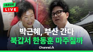 [????이슈를 켜라] [LIVE] 박근혜, PK방문 예고... 부산 북갑도 가나? / 채널A