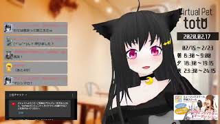 【SHOWROOM】totoฅ•ω•ฅとある猫カフェ＜ミラー配信＞