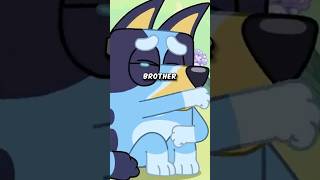 Download lagu What Happened to Bluey's Older Brother? #shorts #bluey mp3