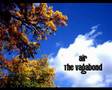 Air - The Vagabond 