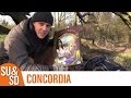 Concordia - Shut Up & Sit Down Review