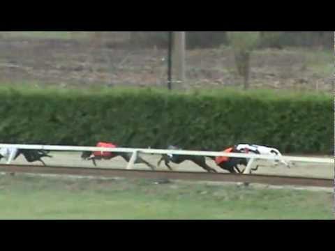 EUROPEAN DERBY PLATE 2012  2nd semifinal - SIDNEY