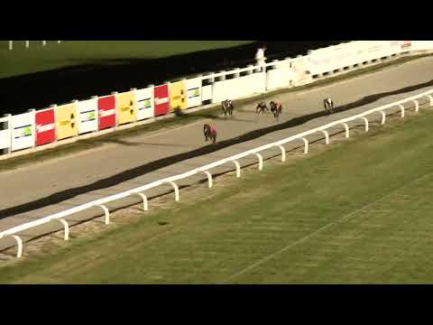 2022.10.14. 06. futam - Kölyök Derby Elődöntő I.