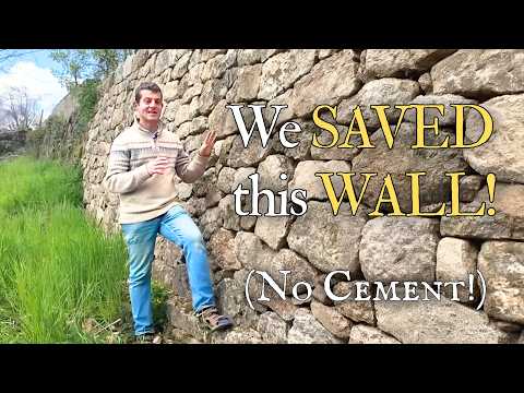 Phase One Complete! Restoring & Rebuilding this Historic Wall + FULL TOUR of the Exotic Garden