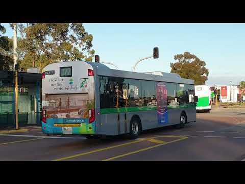 Transperth 1381,2789,2716 & 2602 departing Victoria Park Transfer Station