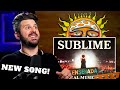 Sublime Are BACK Bass Teacher REACTS To Ensenada Official Music Video