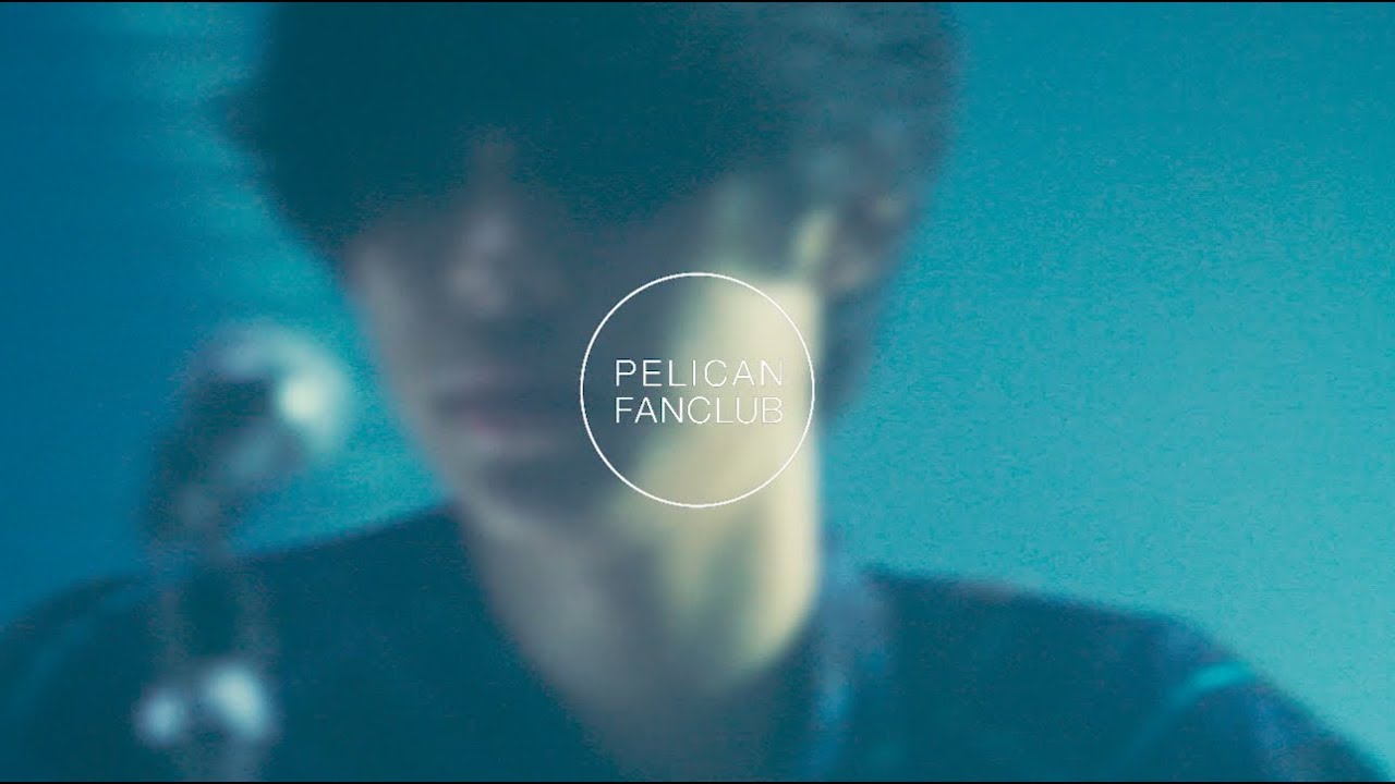 PELICAN FANCLUB - ガガ
