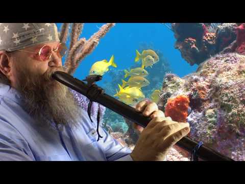 Native American Flute Music | High Spirits Crow Flute | David Stegmeir