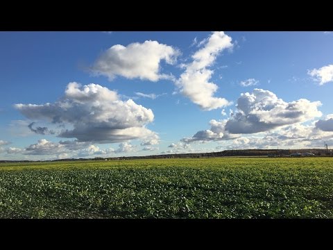 Får riktig sommarkänsla