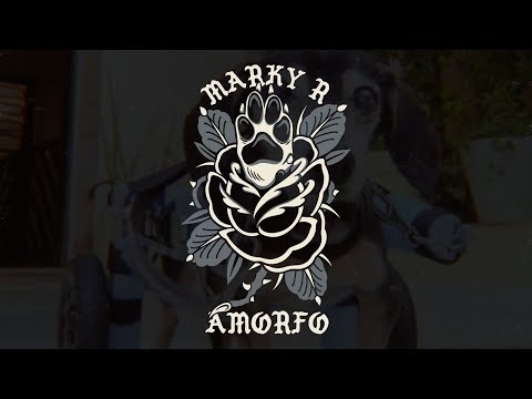 AMORFO - Marky R. (Videoclipe)