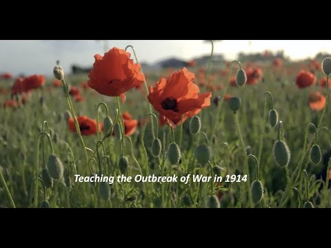 WWI Changed Us Webinar Series: Causes of WWI - Michael Neiberg