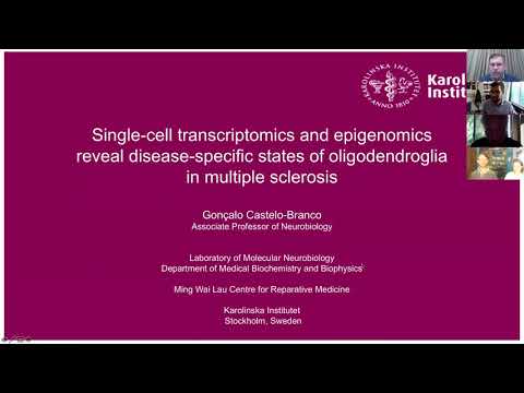 Goncalo Castelo-Branco - Oligodendroglia in multiple sclerosis - 17/06/2020