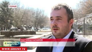 Духовенство ЧР: СМИ  и псевдолибералам стоит подумать, прежде чем облить грязью целый народ 