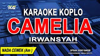 Download lagu CAMELIA - Karaoke Koplo Nada Wanita (IRWANSYAH) mp3