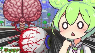 【Terraria】やる気だけは誰にも負けないずんだもん/// 【VOICEVOX実況:ずんだもん】