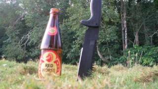 Tell Me When To Go Remix (E-40)