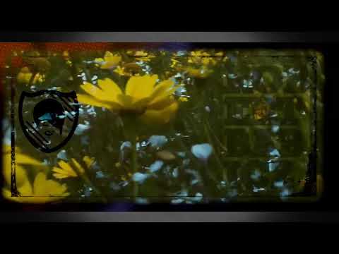 Marotopia, Season #2, Episode #3, with An On Bast