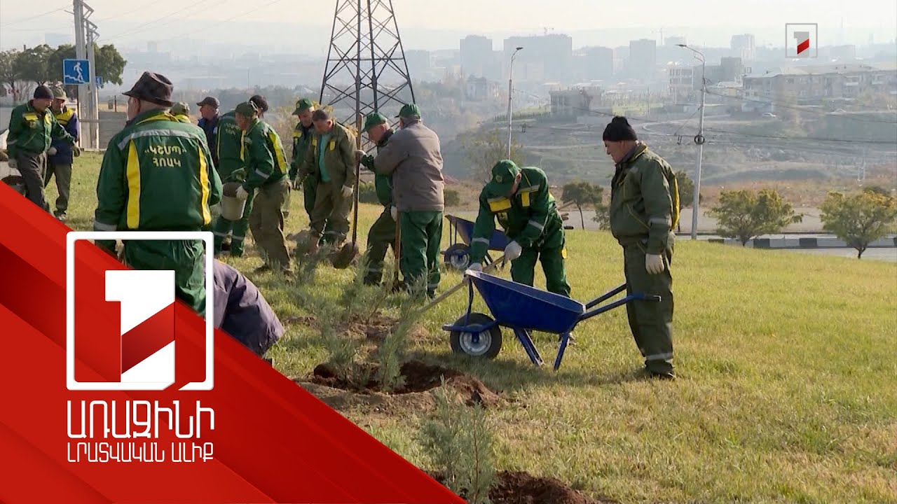 Քաղաքը փոշուց պաշտպանելու հիմնական միջոցը կանաչապատ տարածքների ավելացումն է. մասնագետներ