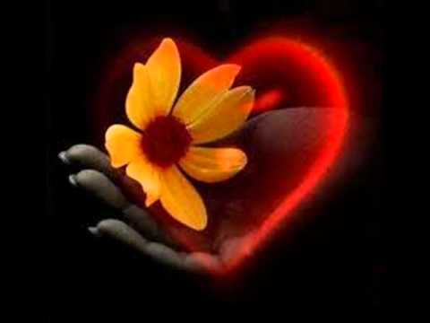Ma lady mon secret