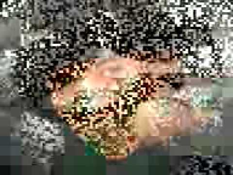 mc k-oz "ya no me reconosco"