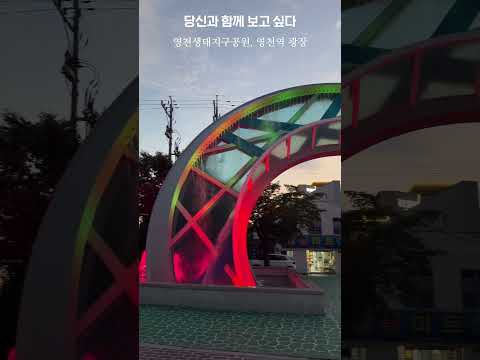 [2025 영천시 숏폼 콘텐츠 공모전 장려상 수상작] 당신과 함께 - 곽은주