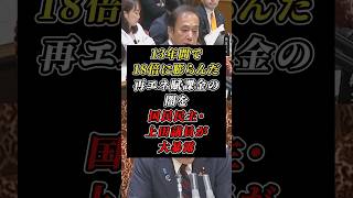 13年で18倍に膨らんだ再エネ賦課金のステルス増税を国民民主・上田議員が大暴露 #国民民主党 #ステルス増税