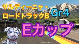 【グランツーリスモSPORT】超低燃費耐久『Eカップ』Gr4 30分耐久レース [ はんぞう Games Vtuber】
