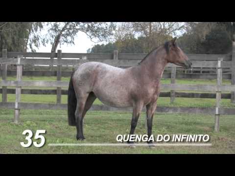 QUENGA full VImeo HD