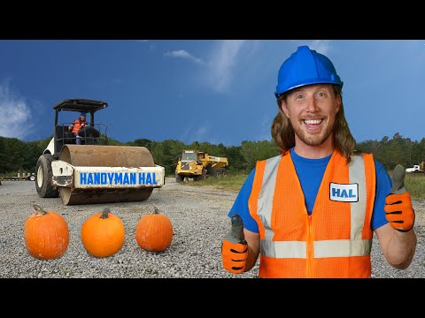 Heimwerker Hal plattwalzt Kürbisse mit einer Walze | Echte Baumaschinen-Dampfwalze