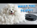 My Dog Tries To Destroy Our New Robot Vacuum Roborock S7 MaxV Ultra