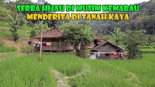 Download lagu Serba Hijau Di Musim kemarau..Kampung Idaman Masa Tua..Hening Tak Terbantahkan. mp3
