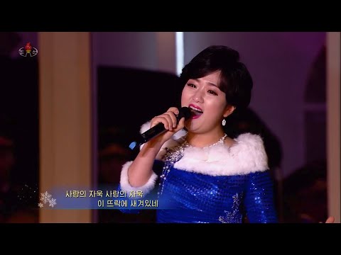 Hyon Hye Won & Co. - Following Your Affection (그 정을 따르네)
