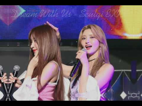 𝟗 𝐘𝐞𝐚𝐫𝐬 𝐖𝐢𝐭𝐡 𝐄𝐗𝐈𝐃  #9YearsWithEXID #HappyEXID9thAnniversary