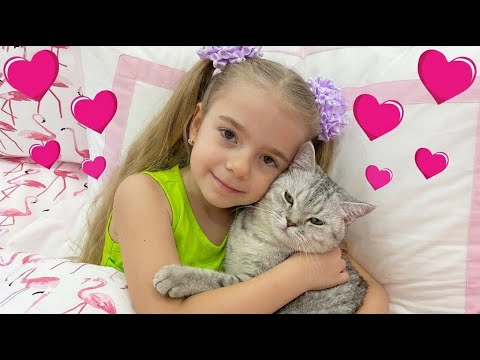 Anabella and Bogdan All episodes about a beloved kitten