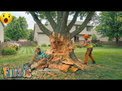 TOTAL IDIOTS AT WORK | Instant Regret Fails Compilation 2025 | Best fail of the week???? #67