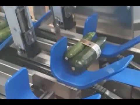 STRAUSS Zucchini-Banderole